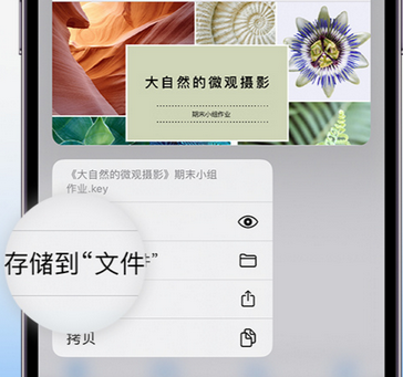 三沙apple维修中心分享iPhone文件应用中存储和找到下载文件