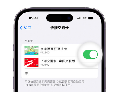 三沙apple维修点分享iPhone上更换Apple Pay快捷交通卡手绘卡面 