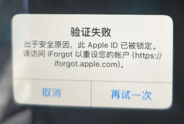 三沙iPhone维修分享iPhone上正常登录或使用AppleID怎么办 