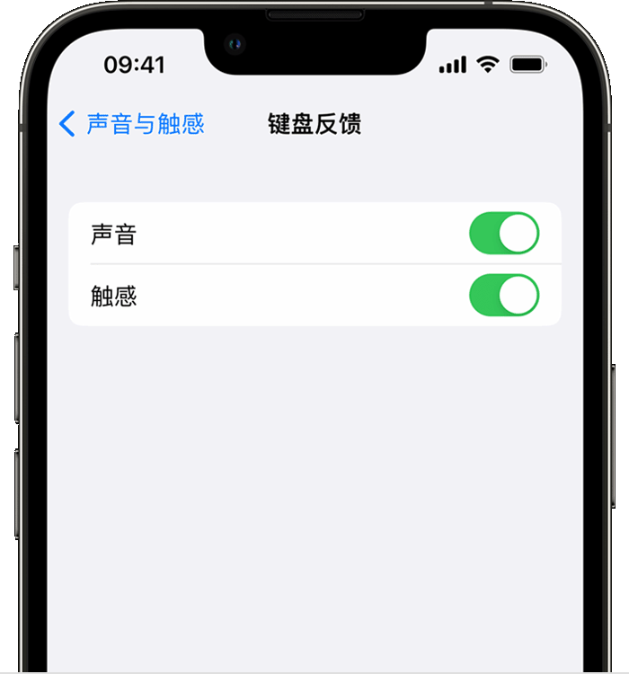 三沙苹果14维修店分享如何在 iPhone 14 机型中使用触感键盘 