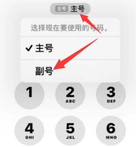 三沙苹果14维修店分享iPhone 14 Pro Max使用副卡打电话的方法 