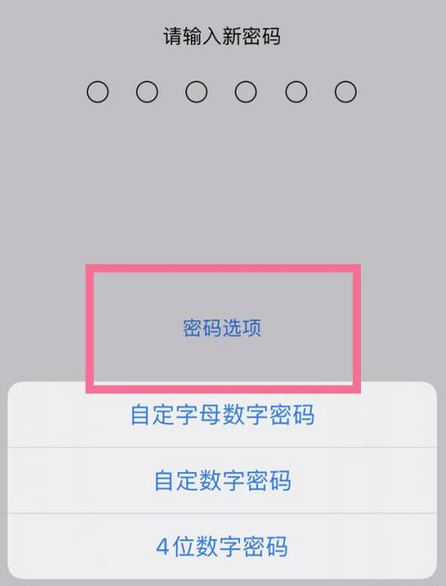 三沙苹果14维修分享iPhone 14plus设置密码的方法 