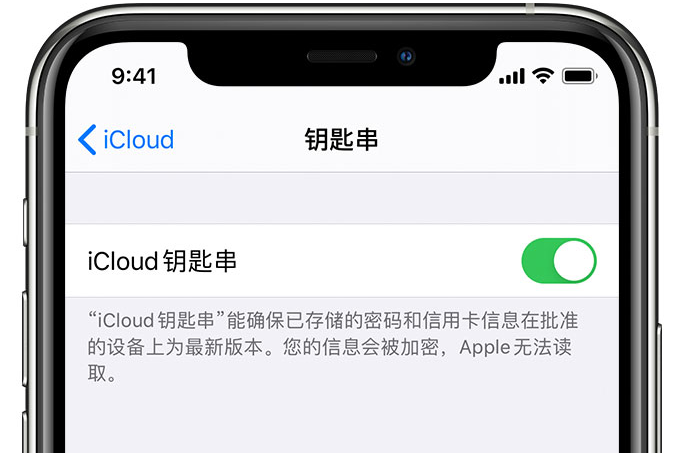 三沙苹果手机维修分享在 iPhone 上开启 iCloud 钥匙串之后会储存哪些信息 