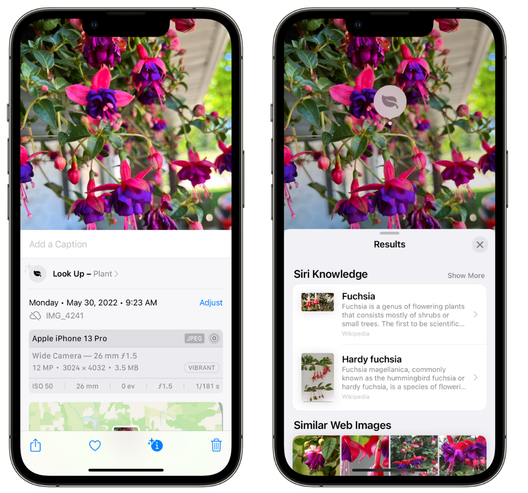 三沙苹果手机维修分享小技巧：使用 iPhone 相机识别花卉植物 