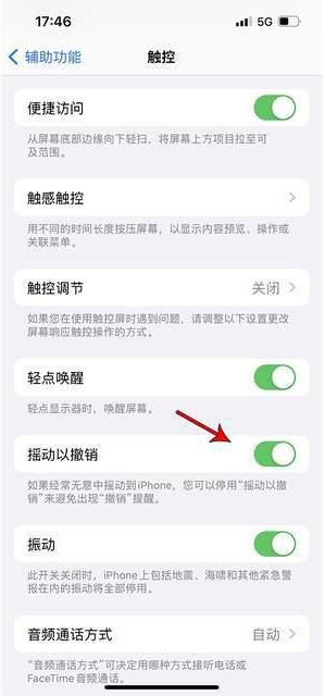 三沙苹果手机维修分享iPhone手机如何设置摇一摇删除文字 